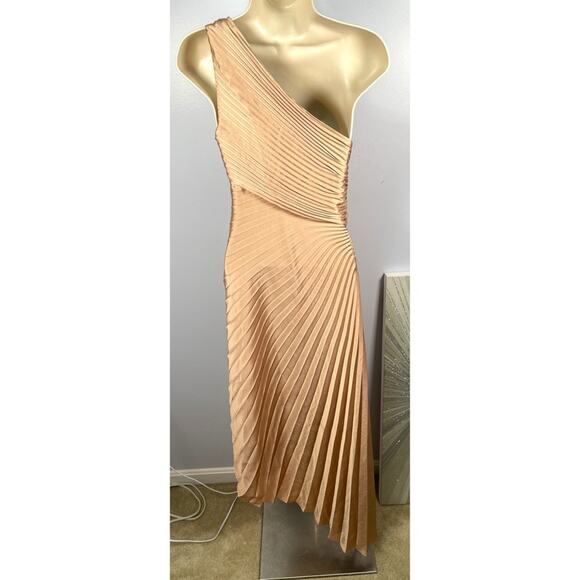 A.L.C. Delfine Pleated One Shoulder Midi Dress in Bella Size 0 - Picture 6 of 11